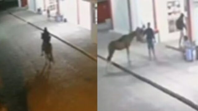 Assaltante chega a cavalo, rouba lanchonete e leva pertences de clientes na rodoviária de Ipirá