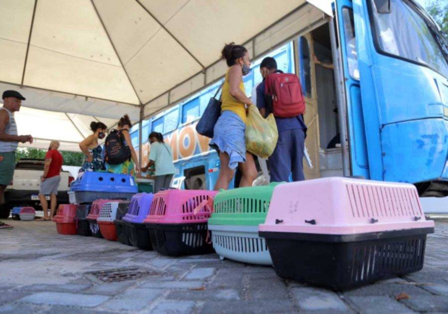 Castramóvel oferece castração gratuita de cães e gatos na Avenida Paralela, em Salvador
