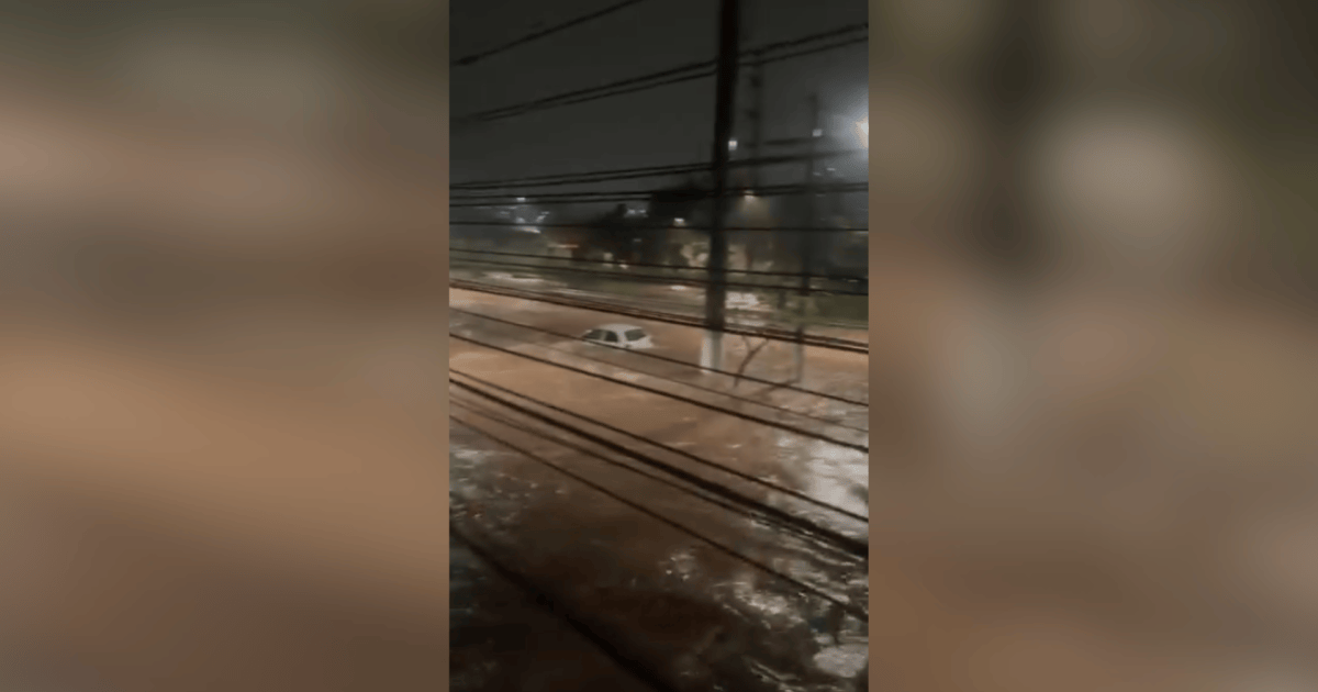 CHUVA EM SP: Defesa Civil emite 15 alertas na madrugada e estado soma 21 mortes em 2026