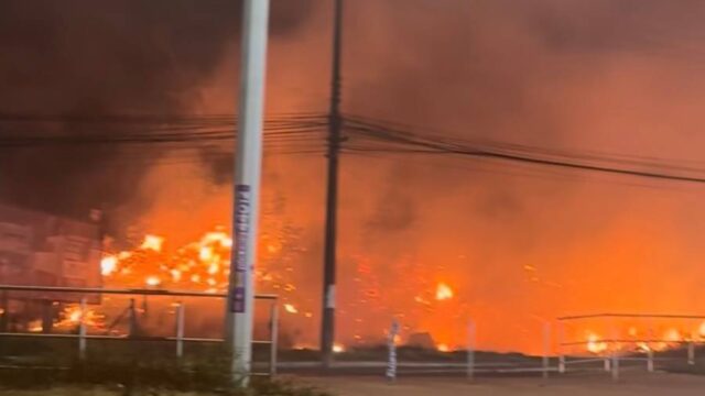 INCÊNDIO: fogo de grandes proporções atinge vegetação no Monte de Jesus, em Itapuã, Salvador