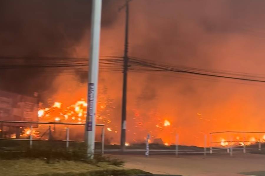 INCÊNDIO: fogo de grandes proporções atinge vegetação no Monte de Jesus, em Itapuã, Salvador