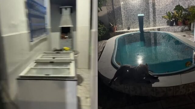 Líder de facção da Bahia é morto em Alagoas após trocar tiros com policiais em operação integrada