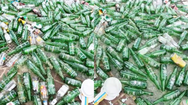 Mergulhadores retiram 263 garrafas de cerveja do fundo do mar entre o Porto da Barra e o Parque Marinho