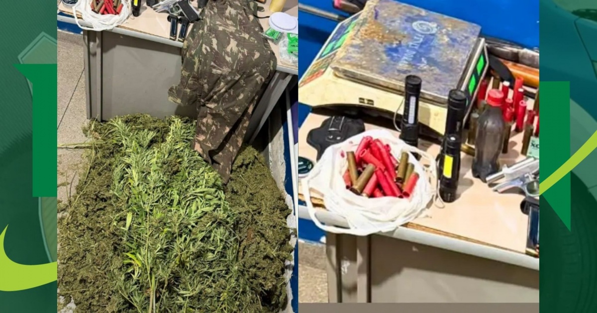 Rondesp erradica 2 mil pés de maconha em ilha do Rio São Francisco e suspeito morre após confronto em Ibotirama