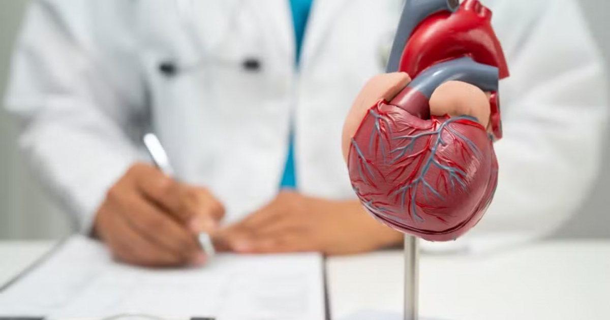 SAÚDE: Brasil registra uma morte por doença cardíaca a cada 72 segundos em 2026, aponta Sociedade de Cardiologia