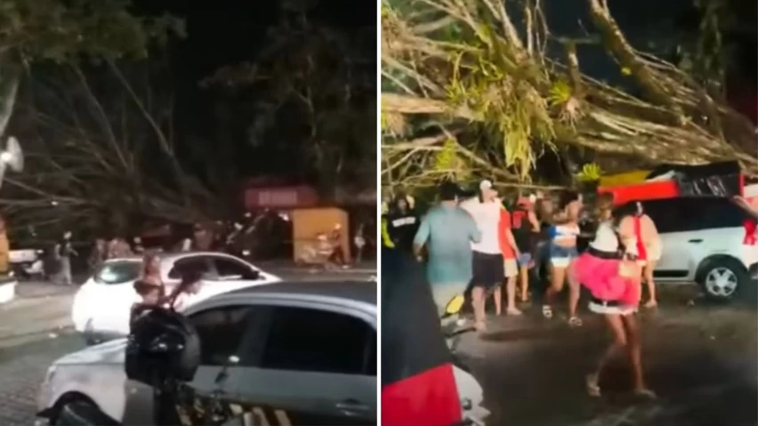 Temporal derruba três árvores em Trancoso, distrito de Porto Seguro, na noite deste sábado